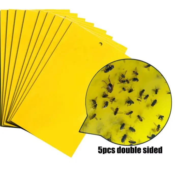 Piège collant double face pour insectes, anti-pucerons, mouches et autres insectes, pour jardin et f
