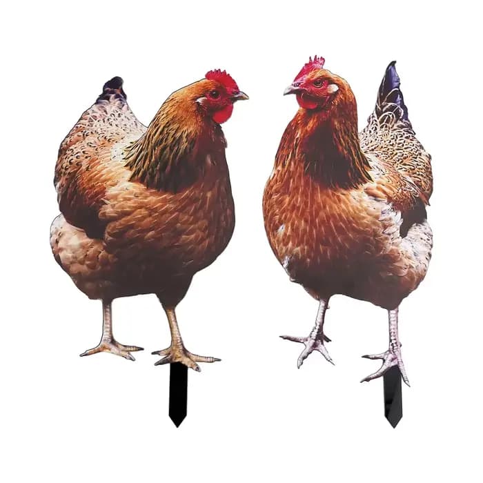 Statue de coq de jardin, Sculpture de poulet en acrylique pour décoration de cour, Figurine de poule