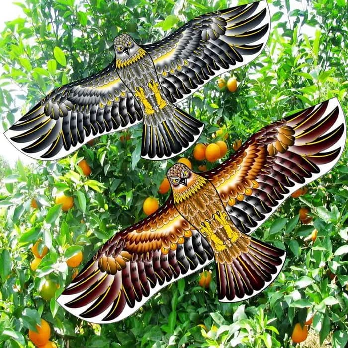 Cerf-volant effaroucheur d'oiseaux en forme de faucon volant, répulsif pour jardin, dispositif d'élo