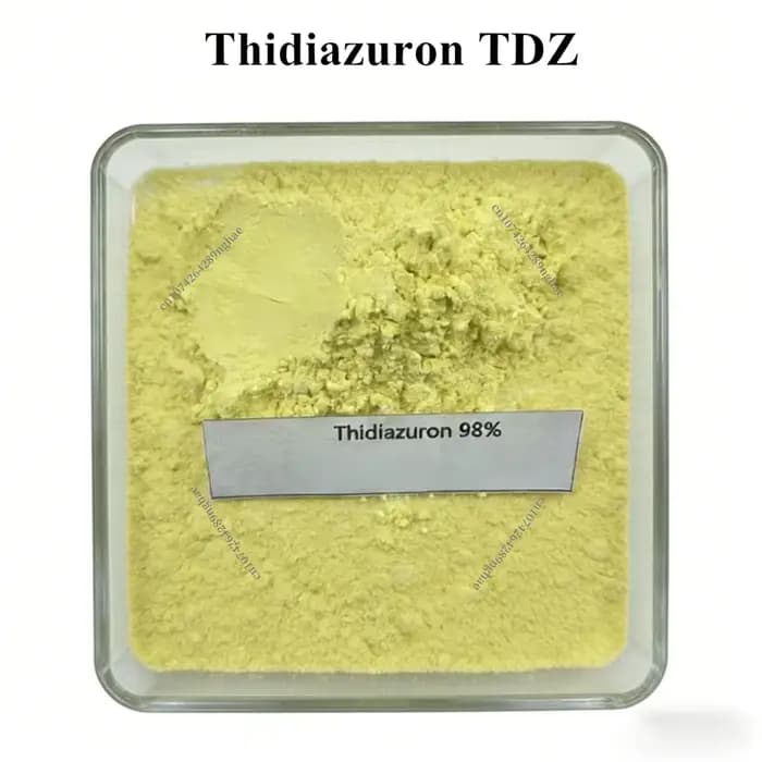 Thidiazuron TDZ 98% TC Haute Pureté à Bas Prix Livraison Gratuite