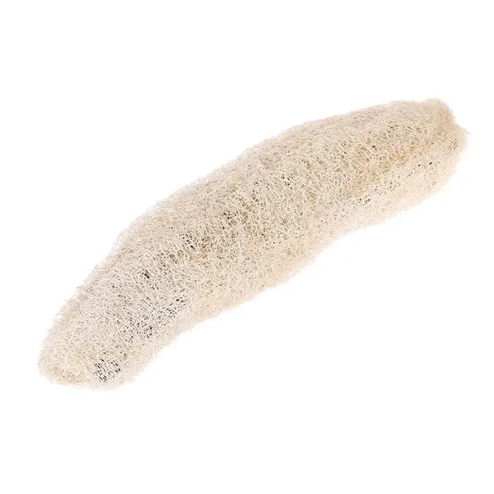 Luffa Loofah naturel non transformé, bain de Loofah antibactérien, gommage corporel