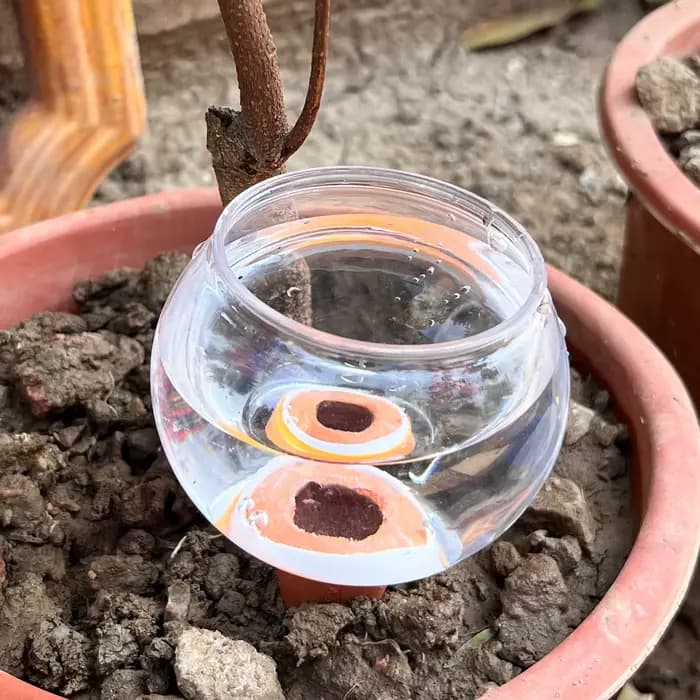 Système d'irrigation goutte-à-goutte automatique 3 pièces, mini-irrigation automatique pour jardin, 