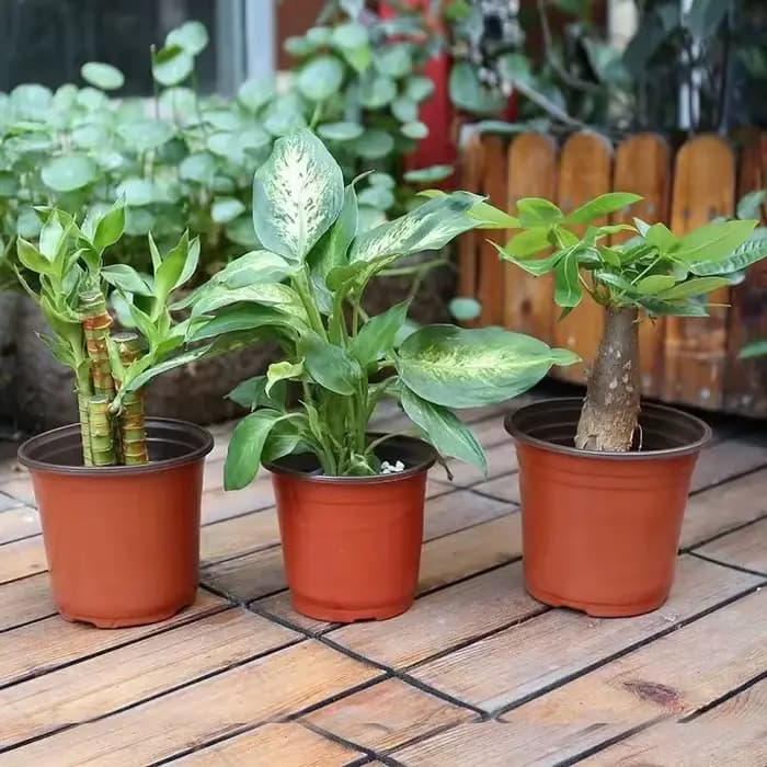 Pots de plantes en plastique avec étiquettes, récipients pour plantes à fleurs et semis, pots de dém