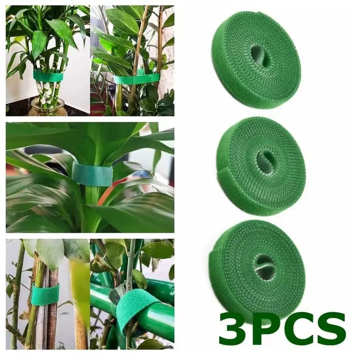Rouleau de Ficelle de Jardin Verte, Bandage en Nylon pour Plantes, Boucle de Crochet, Canne en Bambo