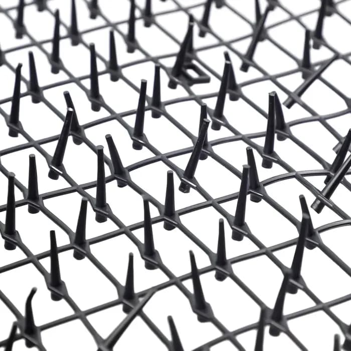 Bande de pincettes de jardin de 2M, tapis de dissuasion répulsif pour chat, bandes de pincement Anti