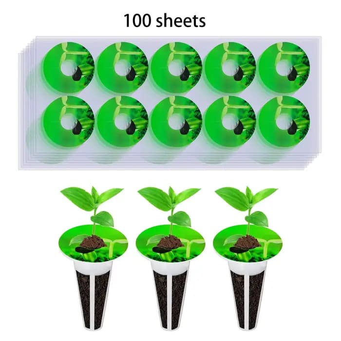 100x étiquettes de plantes hydroponiques étiquettes de Pot de graines autocollant pour marquer les p
