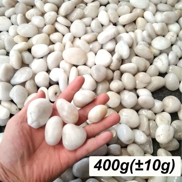 400g de galets de rivière naturels blancs polis de 2-3 cm - Pierres décoratives pour jardinières, aq