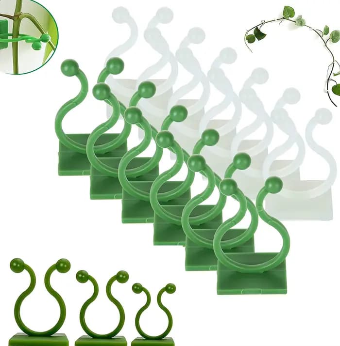 Pince murale Invisible en rotin, Clips muraux d'escalade pour plantes, fixateur de plantes auto-adhé
