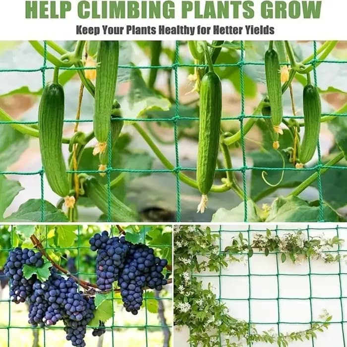 1 filet de treillis en nylon robuste pour plantes grimpantes d'extérieur, filet de jardinage en nylo