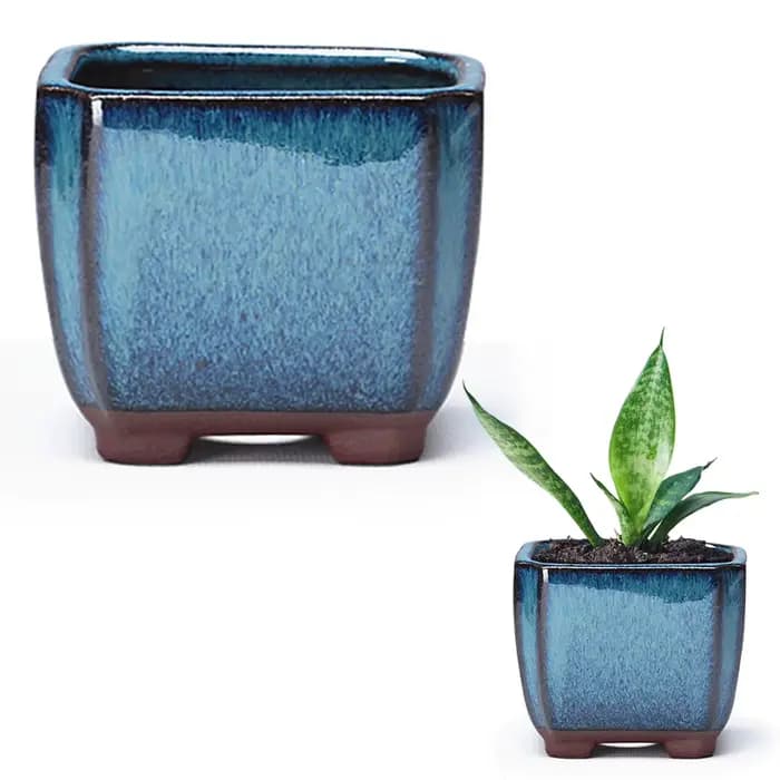 Pot de fleur succulent en céramique avec évent, plantes d'intérieur et d'extérieur faciles à utilise