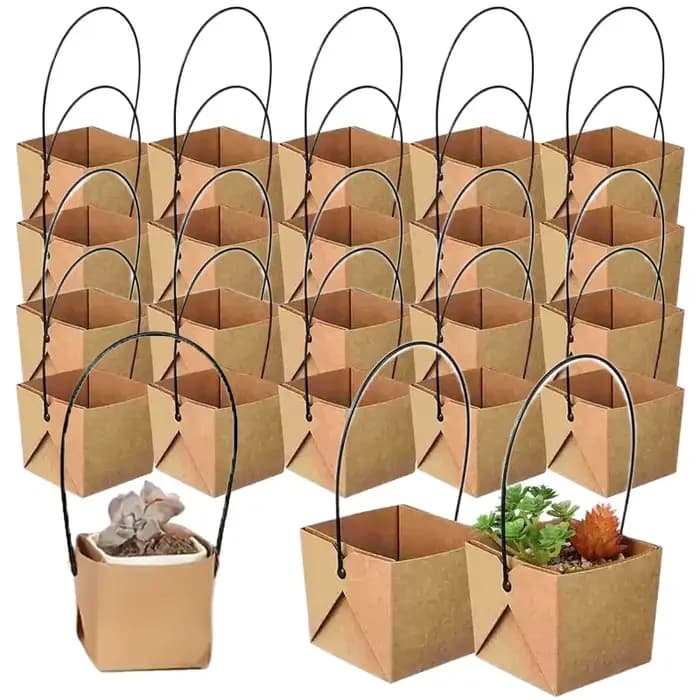 Boîte à plantes succulentes en pot en papier Kraft, 5 à 20 pièces, boîte en papier portable, décorat