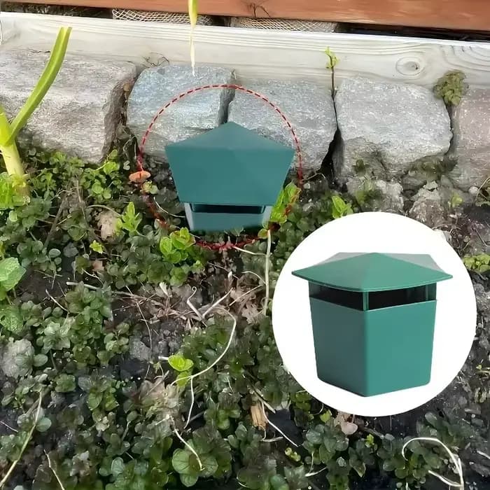 Piège à escargots en plastique réutilisable, 10/1 pièces, outils de Station d'appâts, Cage à limaces