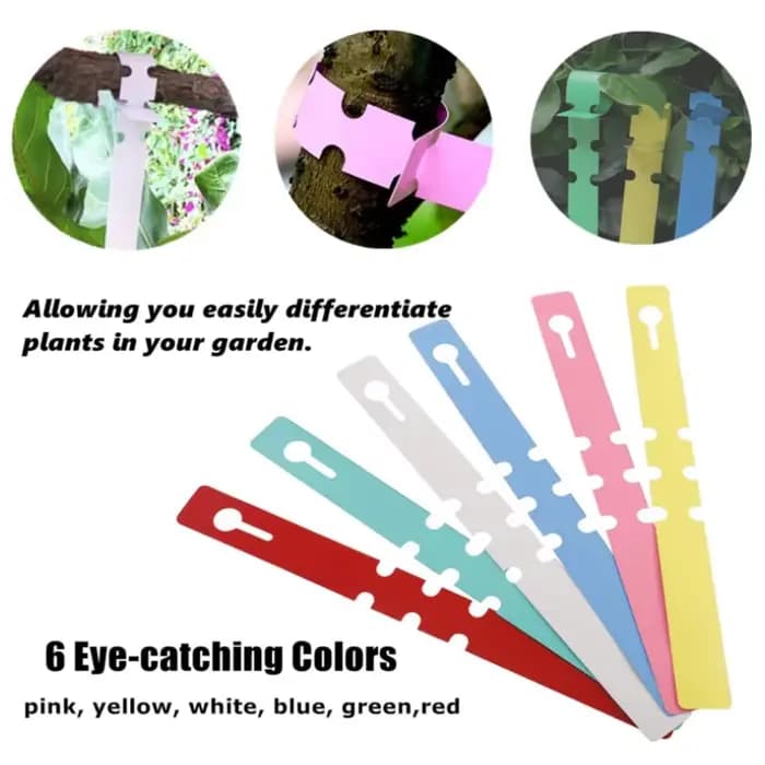 Étiquettes de jardin, Classification des plantes, signe de tri, billet, plaque d'écriture en plastiq
