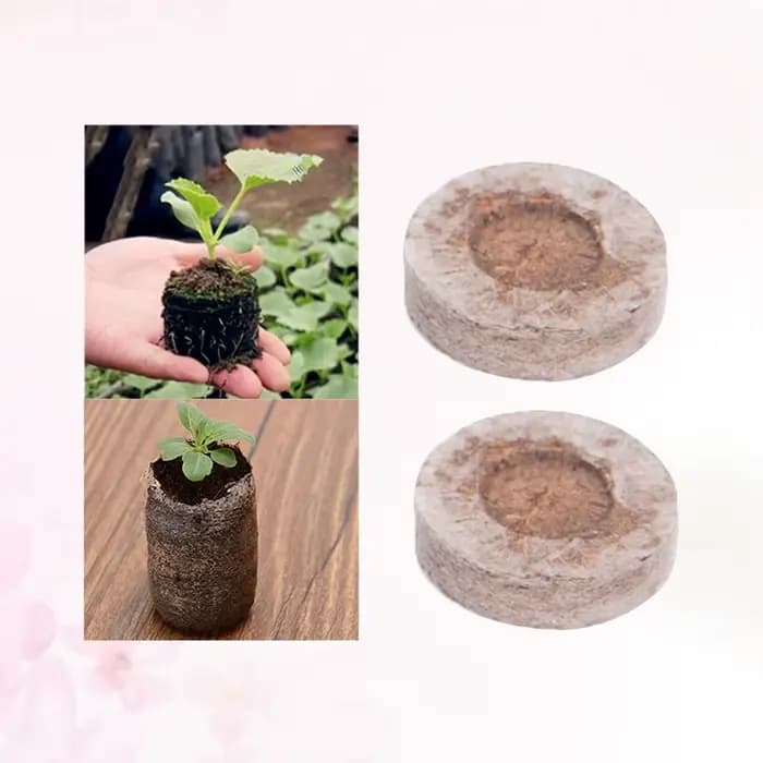 20 Pellets de tourbe compressés de 3 cm, blocs de terre pour semis, support de culture professionnel