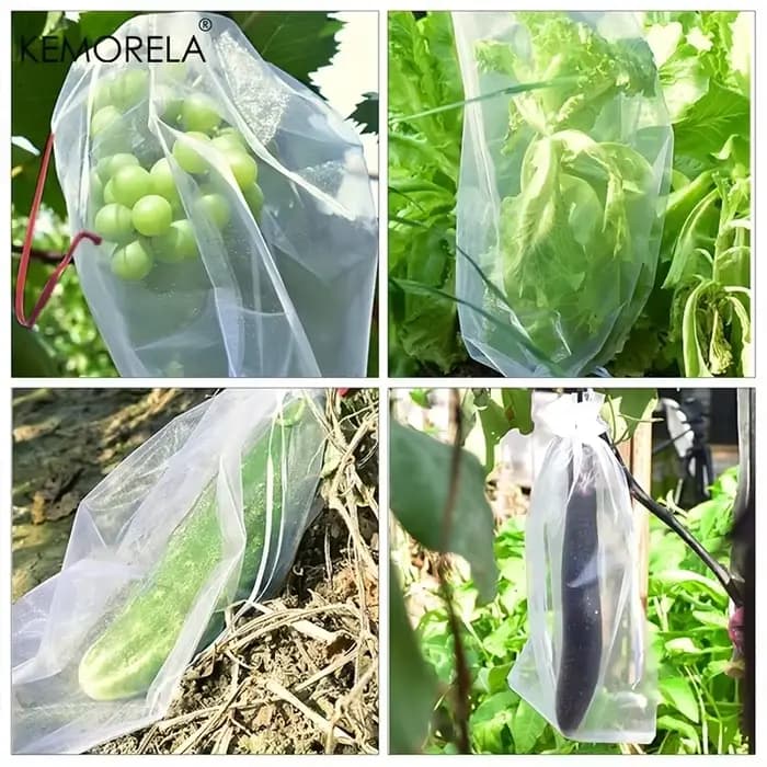 KEMORELA 50pcs Sacs de protection des fruits en maille blanche Housses non tissées durables en PP/TP