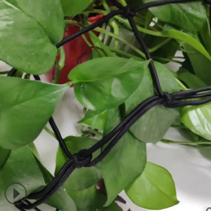 Filet de protection élastique en treillis pour arbres fruitiers, pour plantes grimpantes, tente de c