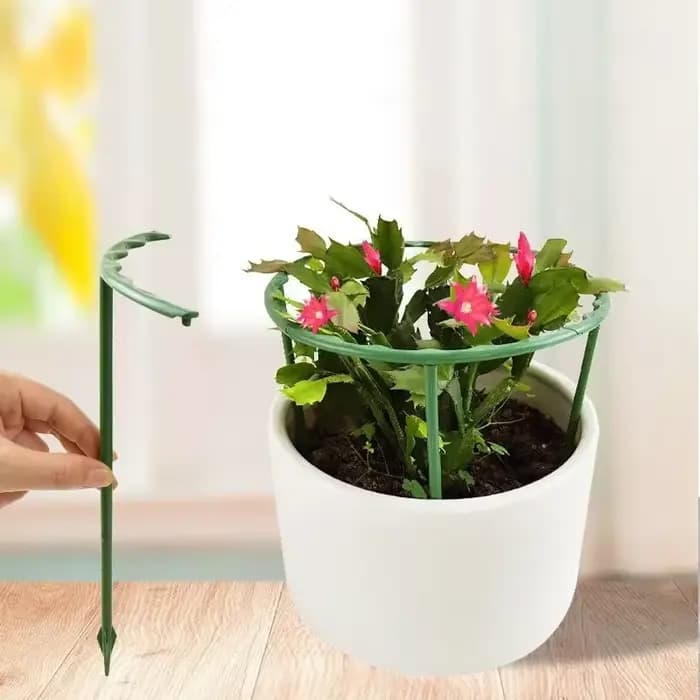 Support d'escalade pour plantes à fleurs, stylo de bouquet, Support pour plantes vertes, cadre de Pi