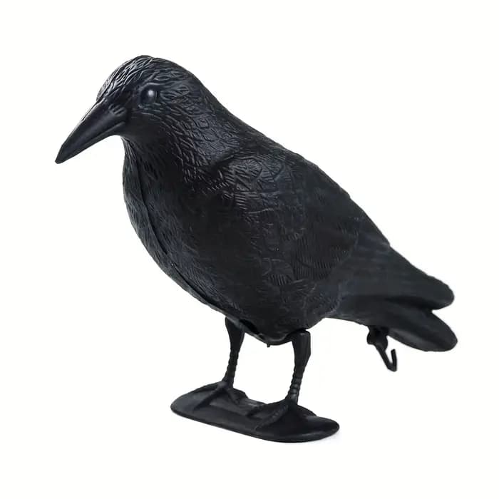 Pigeon épouvantail leurre corbeau antiparasitaire répulsif dissuasion épouvantail cour jardin décora