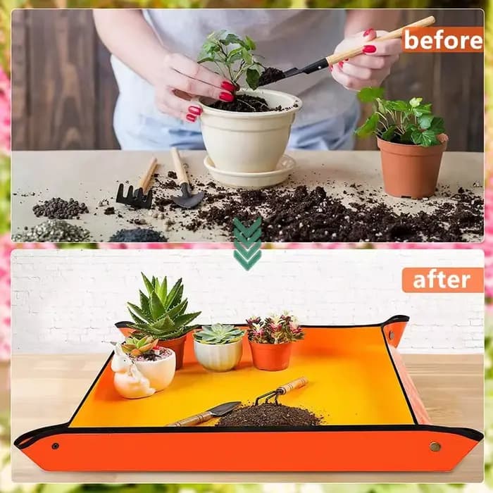 Polymères de régénération des plantes, pots de fleurs imperméables, tampon de repiquage, contrôle du