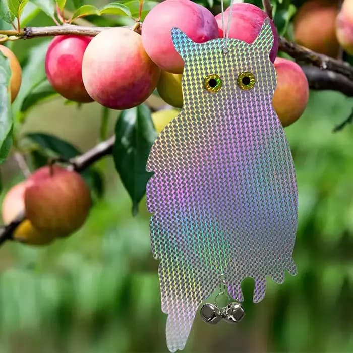 Dispositif de contrôle répulsif pour oiseaux, hibou, réfléchissant au Laser, faux hibou, épouces, Pi