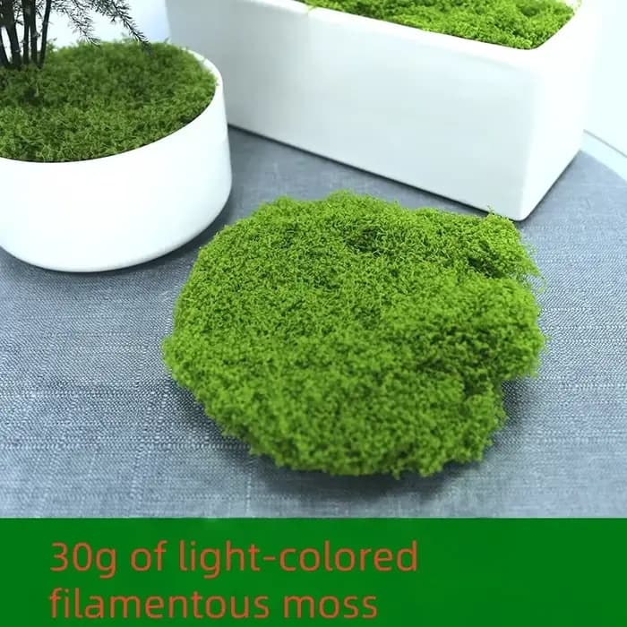 30/50/100g plantes vertes artificielles mousse herbe maison salon jardin décoration Mini paysage fau