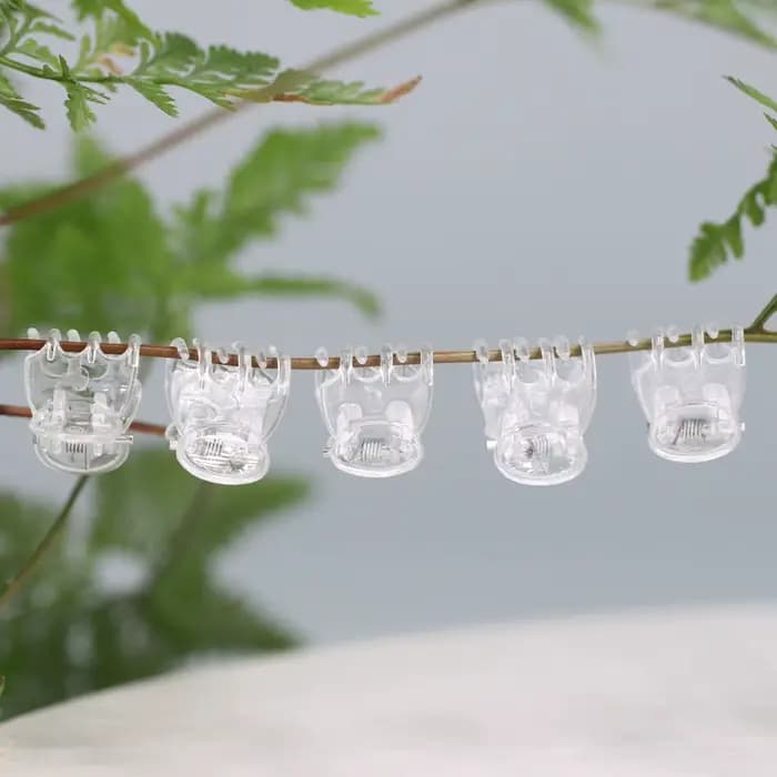 20-100 pièces Clips de plantes de jardin transparents en plastique transparent 6 griffes orchidée pi