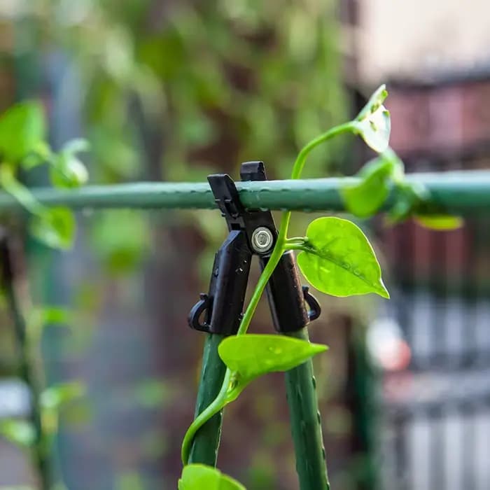 Ensemble de treillis de concombre, cadre en A pour plantes végétales de jardin, Supports de culture 