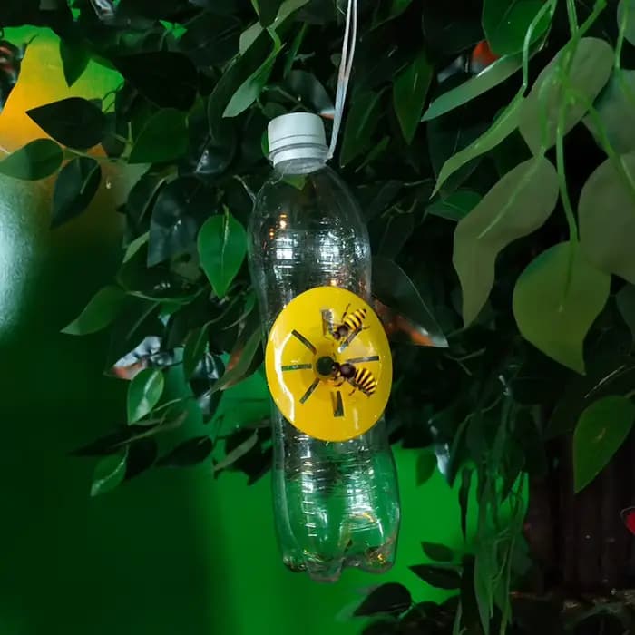 Piège à guêpes et à frelons réutilisable, en forme de fleur, pour la maison et le jardin, lot de 5 à