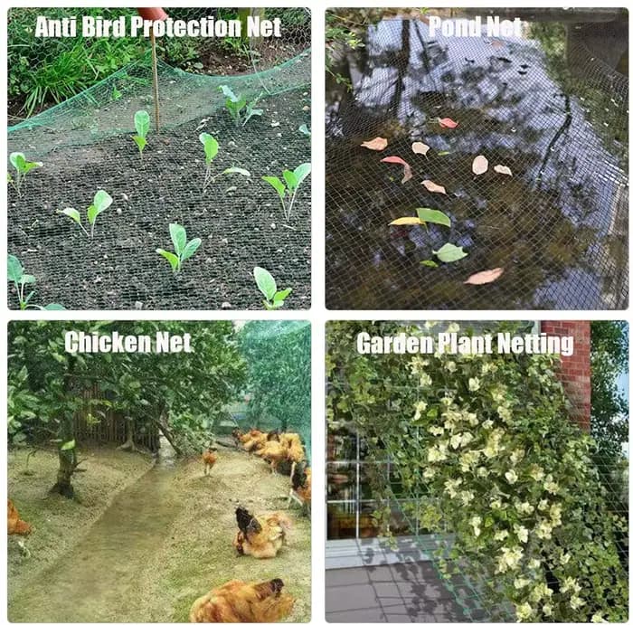 Filet Anti-oiseau solide, clôture et cultures de jardin, maille de protection, Anti-oiseau, cerf, ch