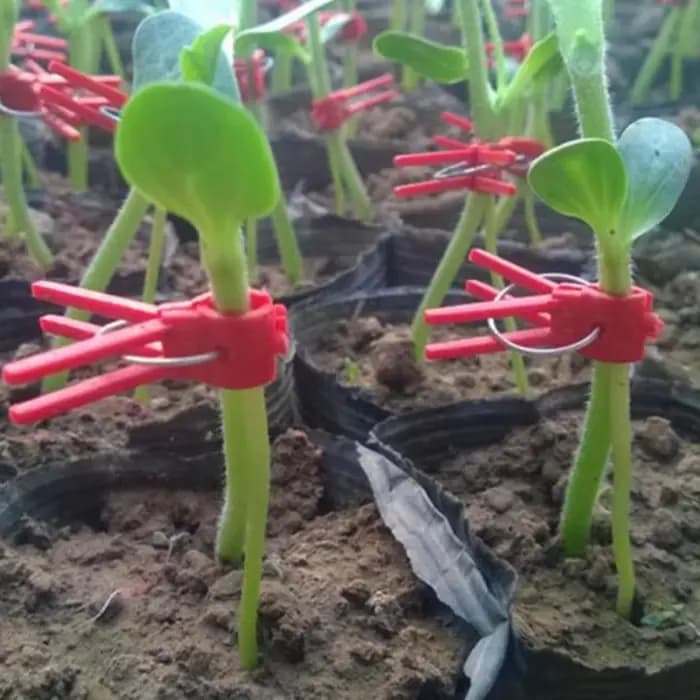 Pinces de support en plastique pour plantes de jardin, pinces anti-chute pour plantes, serre de vign