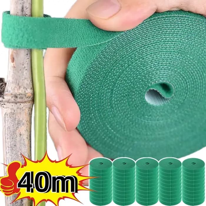 Bandes de ruban de fixation réutilisables pour plantes, auto-adhésif, câble en nylon vert, crochet r