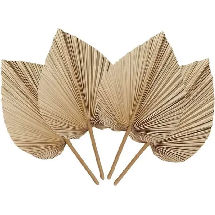 4 feuilles de palmier séchées naturelles, parfaites pour la décoration de la maison, la décoration b