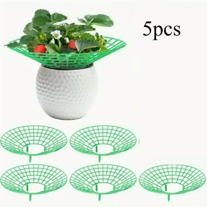 Supports pour plantes de fraises, avec trois pieds robustes, offrant une protection contre les moisi