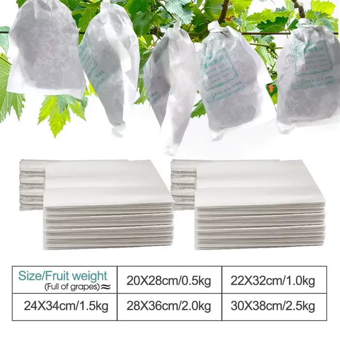 Sacs de Protection de Raisin en Papier Blanc pour Verger, Étanches aux Mites, pour la Culture de Fru