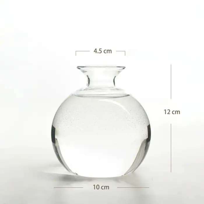 Vase hydroponique transparent pour les cadres, bouteille d'aromathérapie, vase de démarrage pour les