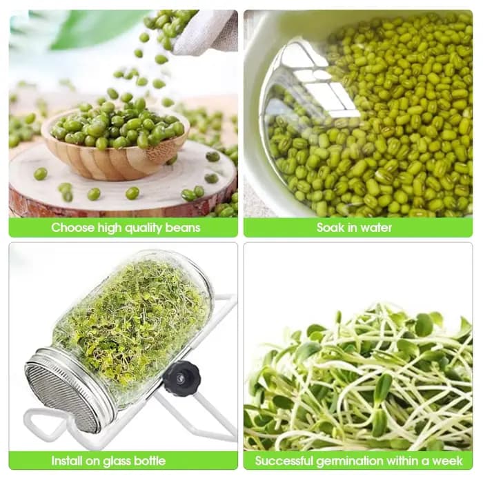 Pot de germination à bouche large avec écran en acier inoxydable, kit de germination pour la fabrica