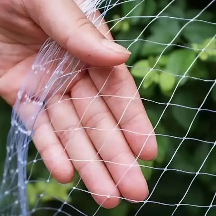 1 pièce, filet de Protection des oiseaux, filet pour oiseaux à séchées fines, filet pour chat pour b