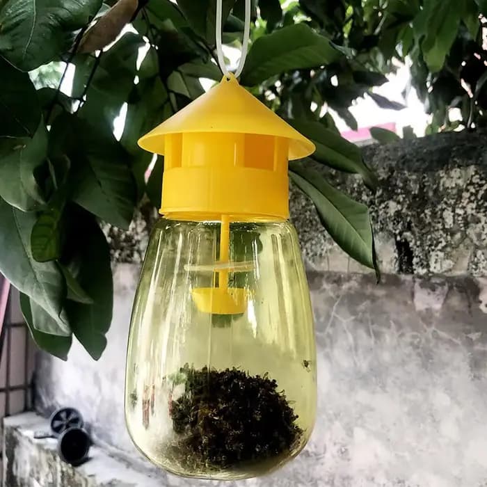 Piège à mouches des fruits en plastique jaune, Monténégro de drosophile, verger, attrape-mouche, ant
