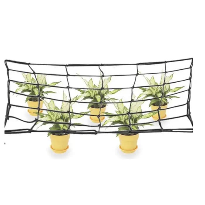 Filet de protection élastique en treillis pour arbres fruitiers, pour plantes grimpantes, tente de c