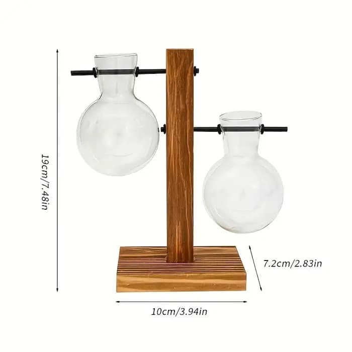 Vase en verre hydroponique, plante de bureau vintage Terrarium planteur ampoule plantation d'eau Vas