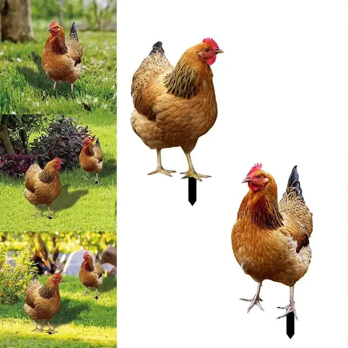 Statue de coq de jardin, Sculpture de poulet en acrylique pour décoration de cour, Figurine de poule