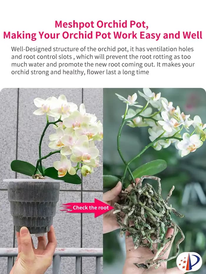Pot en maille pour décoration de la maison, Pots d'orchidées transparents avec trous, Pot de plantes