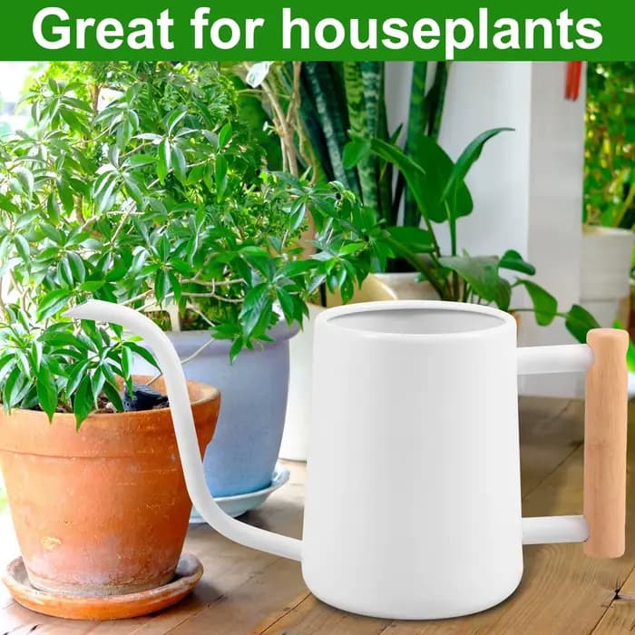 Arrosoir 1L avec manche en bois, Pot d'arrosage en acier inoxydable avec pichet d'arrosage à Long be