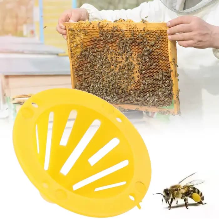 5 pièges à guêpes réutilisables jaunes en forme de cône, attrape-insectes, tue-guêpes, frelons, abei