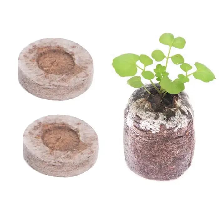 10 pièces de pastilles de tourbe compressée de 3 cm, substrat de culture professionnel pour semis, t
