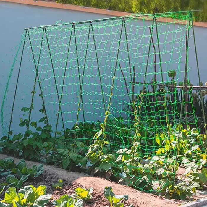 Filet d'escalade de jardin de haute qualité, treillis solide en Nylon pour plantes grimpantes, luffa