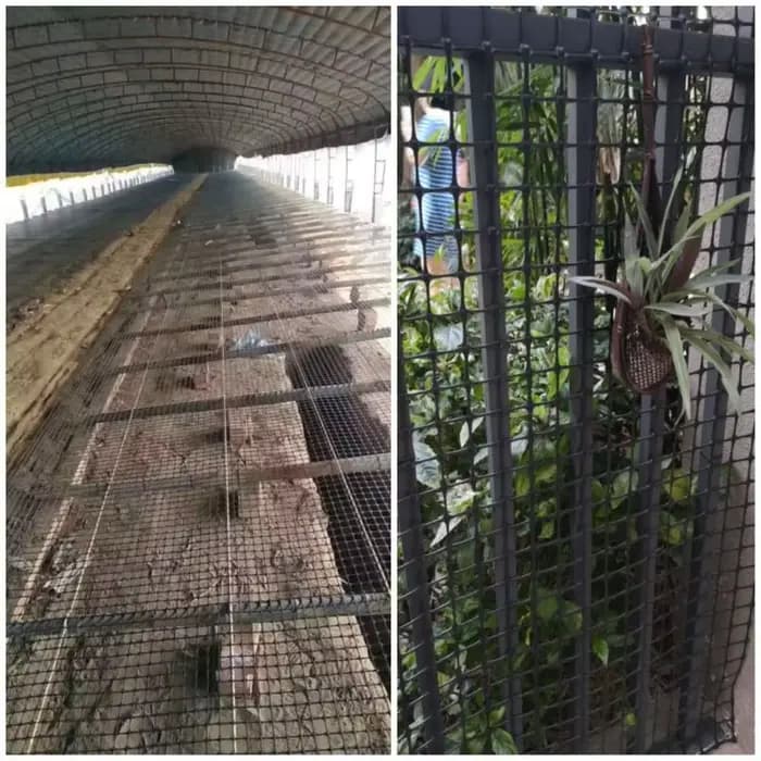 Clôture de jardin en plastique LatejMesh, clôture de sécurité pour sécuritaires, chat, animal de com