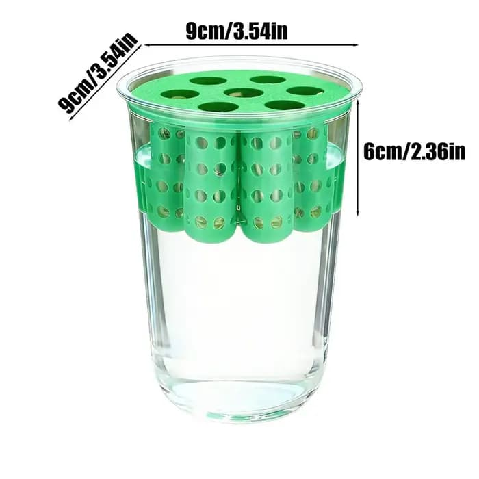 Kit de culture hydroponique réutilisable transparent pour oignon vert, germinateur de pousses d'oign