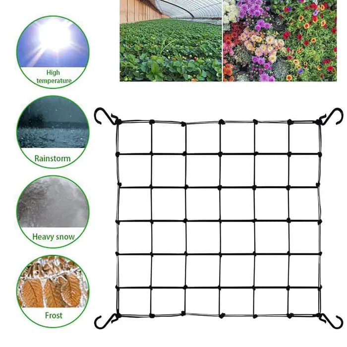 Filet de protection élastique en treillis pour arbres fruitiers, pour plantes grimpantes, tente de c