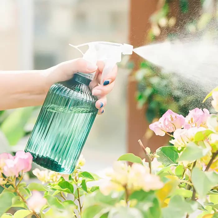 Arrosoir domestique de grande capacité de 500ml, bouilloire de pulvérisation pour plantes, semis à r